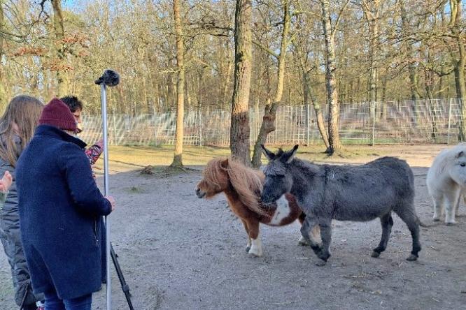Nestor Filmdreh