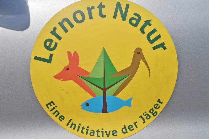 Raus in die Natur