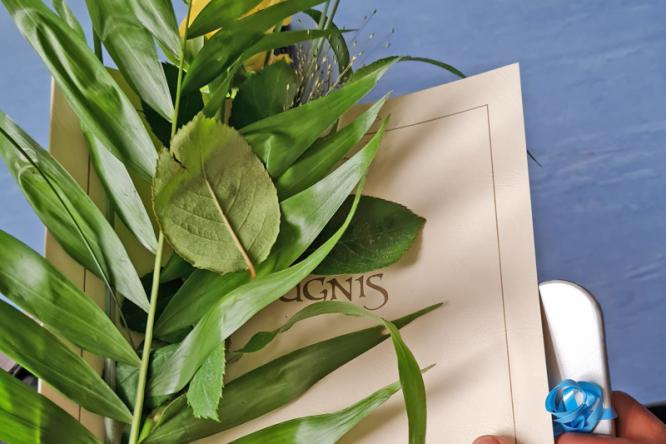Zeugnisausgabe