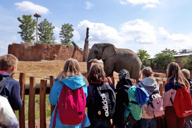 ZOO Magdeburg