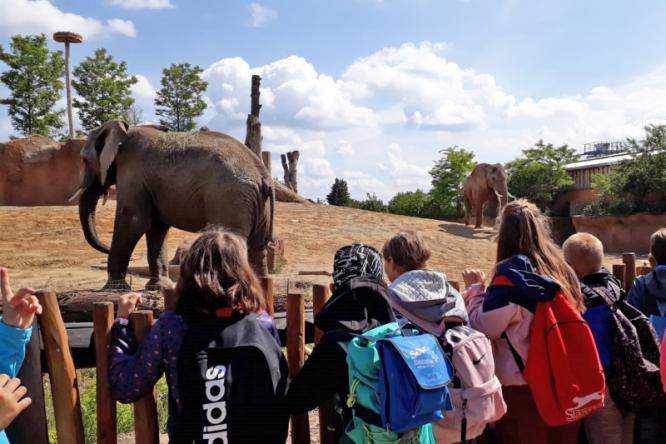 ZOO Magdeburg