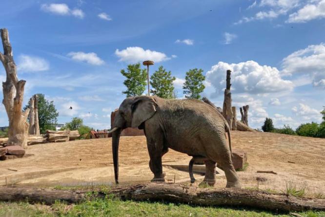 ZOO Magdeburg