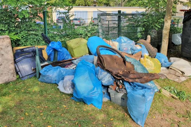 World Cleanup Day