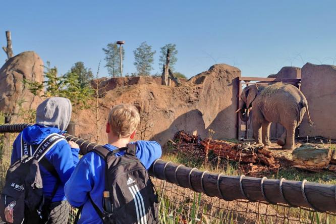 Zoo Magdeburg