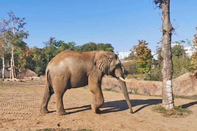 Zoo Magdeburg