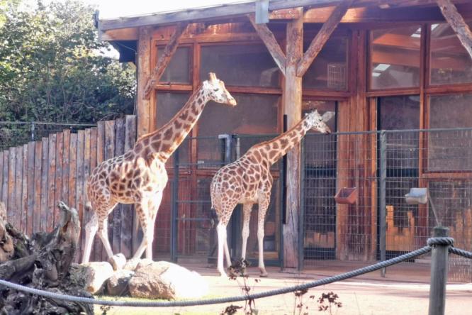 Zoo Magdeburg