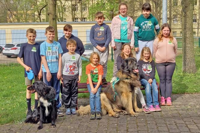Helfer auf 4 Pfoten