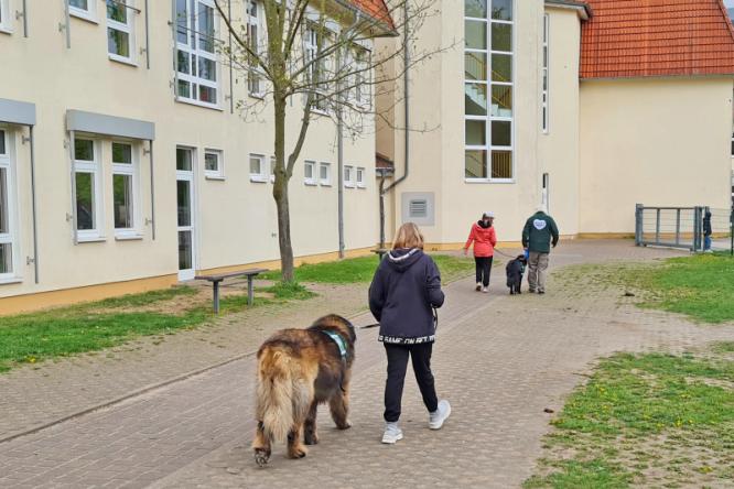 Helfer auf 4 Pfoten