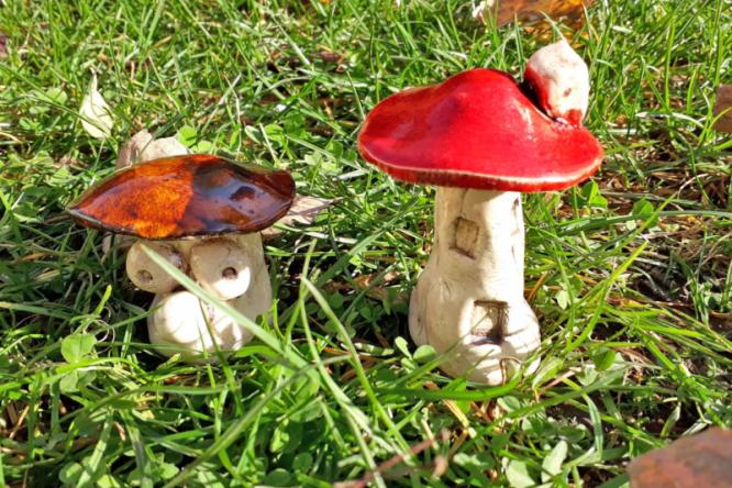Pilz