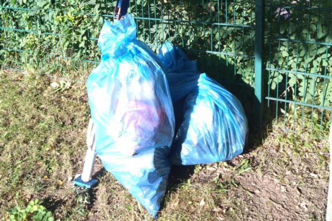 World Cleanup Day