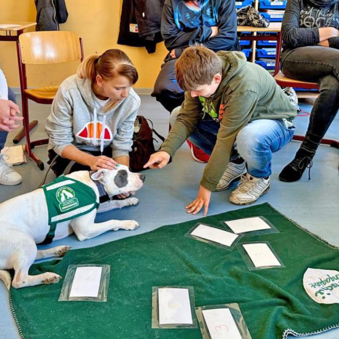 Helfer auf 4 Pfoten