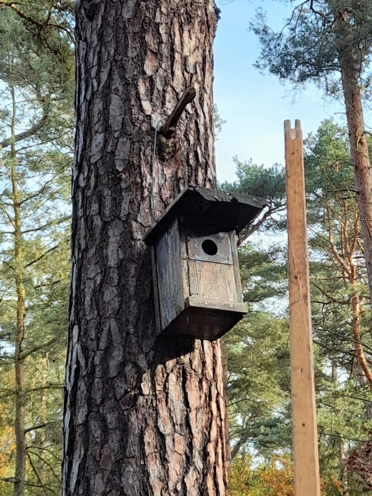 Nistkastenprojekt
