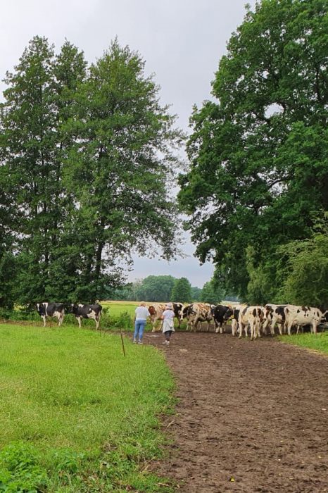 Bauernhof Räckendorf Bauernhof Räckendorf