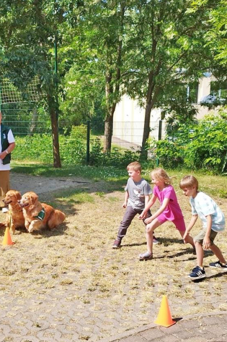 Helfer auf 4 Pfoten