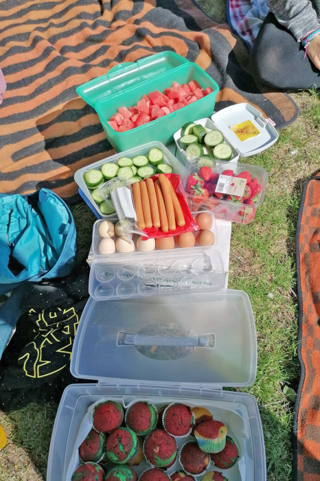 Picknik