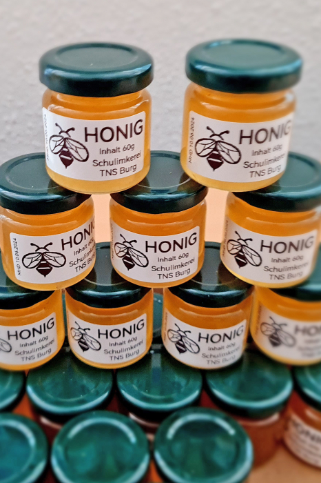 Honigernte Honigernte