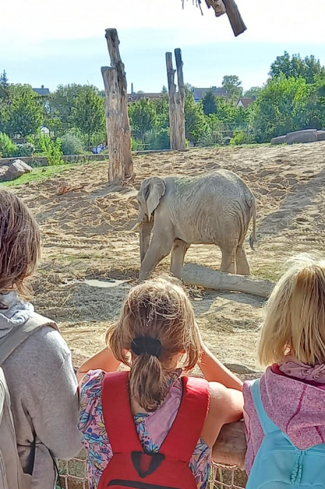 Zoobesuch