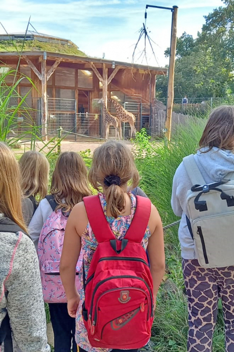 Zoobesuch Zoobesuch
