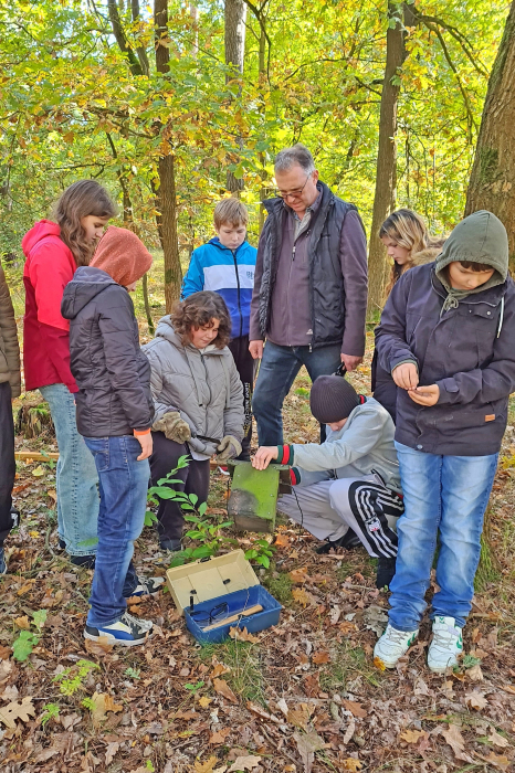 Nistkastenprojekt