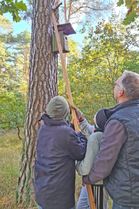 Nistkastenprojekt Nistkastenprojekt