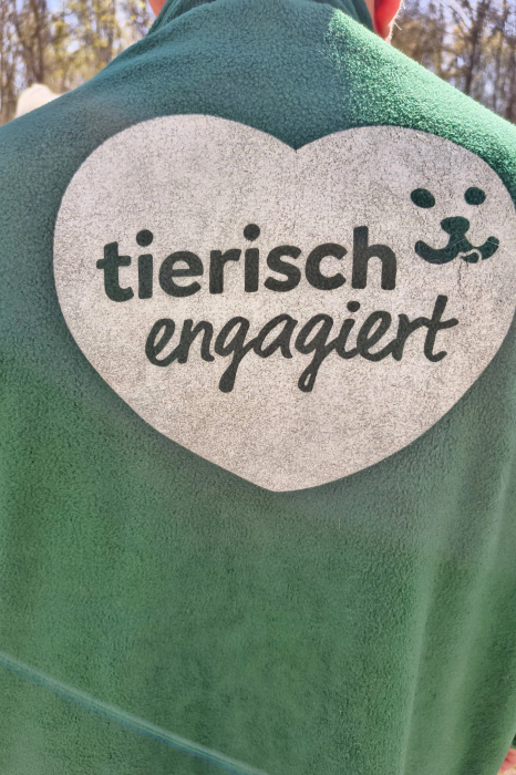 Helfer auf 4 Pfoten Helfer auf 4 Pfoten